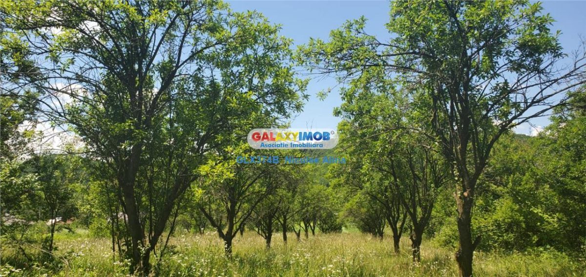 Teren intravilan comuna Bogati sat Birloi Jud. Arges - foto 4