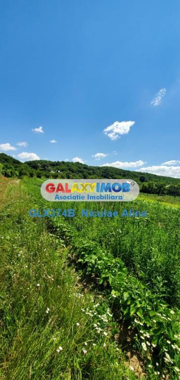 Teren intravilan comuna Bogati sat Birloi Jud. Arges - foto 8