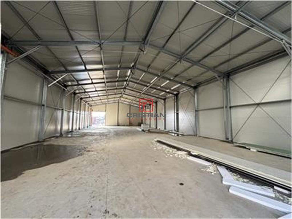 Vanzare depozit/hala/spatiu industrial/parc logistic Jilava - Giurgiului - Progresul, ILFOV - foto 4