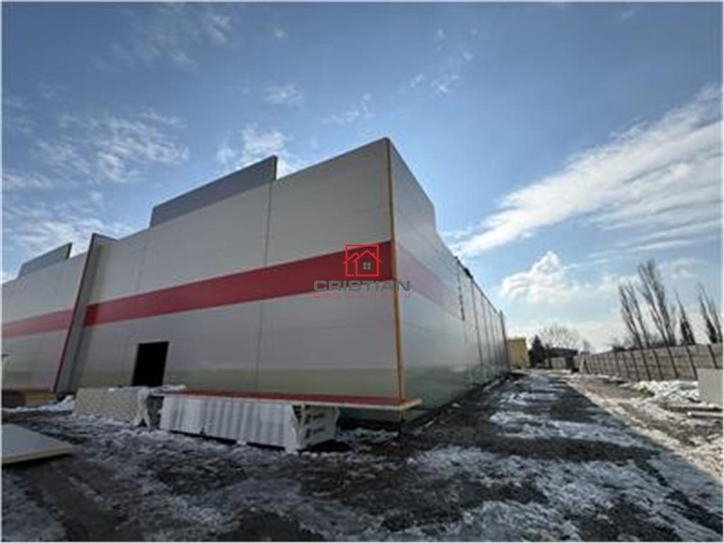 Vanzare depozit/hala/spatiu industrial/parc logistic Jilava - Giurgiului - Progresul, ILFOV - foto 6