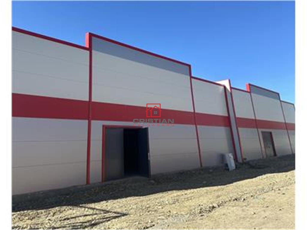 Vanzare depozit/hala/spatiu industrial/parc logistic Jilava - Giurgiului - Progresul, ILFOV - foto 7