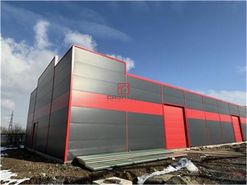 Vanzare depozit/hala/spatiu industrial/parc logistic Jilava - Giurgiului - Progresul, ILFOV - foto 8