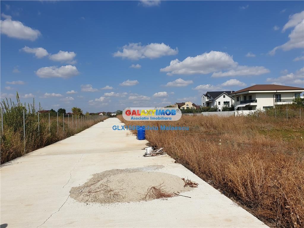 Otopeni 969 Mp - Lot 694 Mp+275 Mp(cota de drum si gradina) str. 1 Mai - foto 12