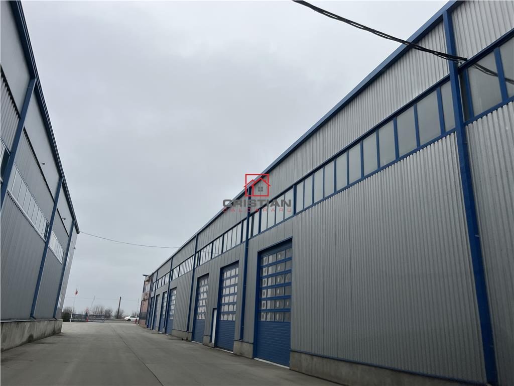 Vanzare depozit/hala/parc logistic Pantelimon - Centura, ILFOV - foto 11