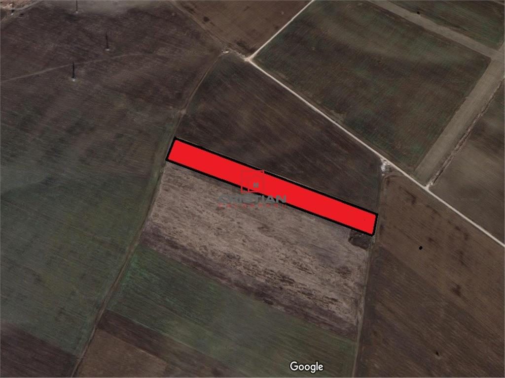 Vanzare teren Chitila - Dragomiresti Vale - Padurii, Ilfov - foto 2