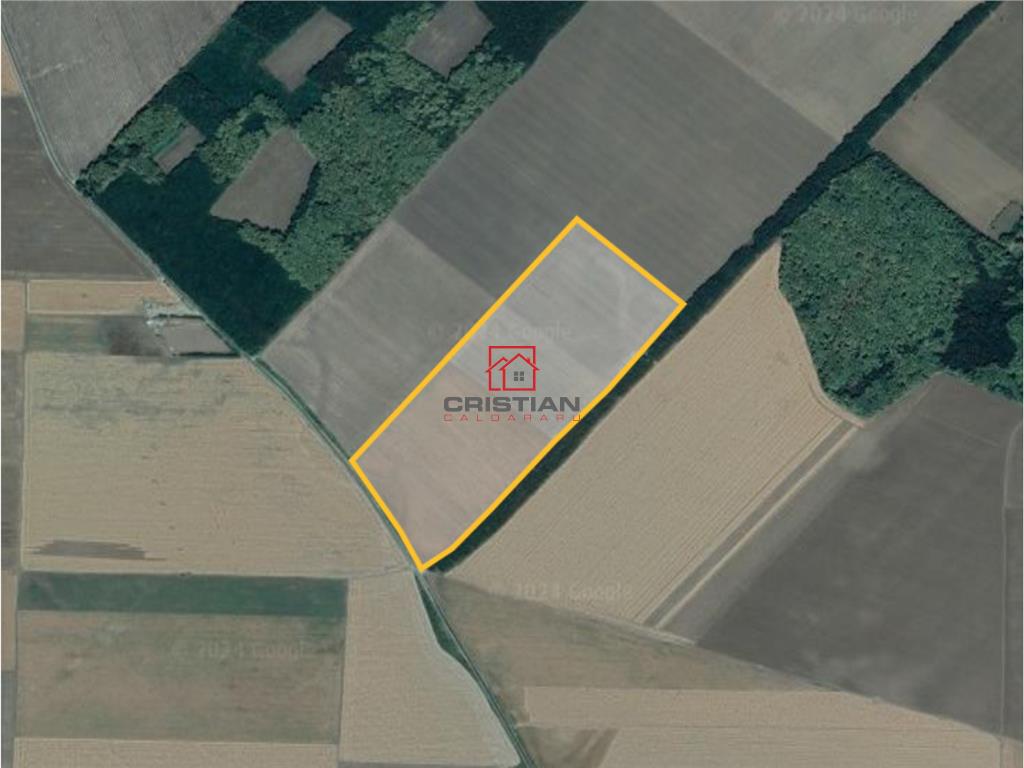 Vanzaren teren Fundulea - A2, Calarasi - 