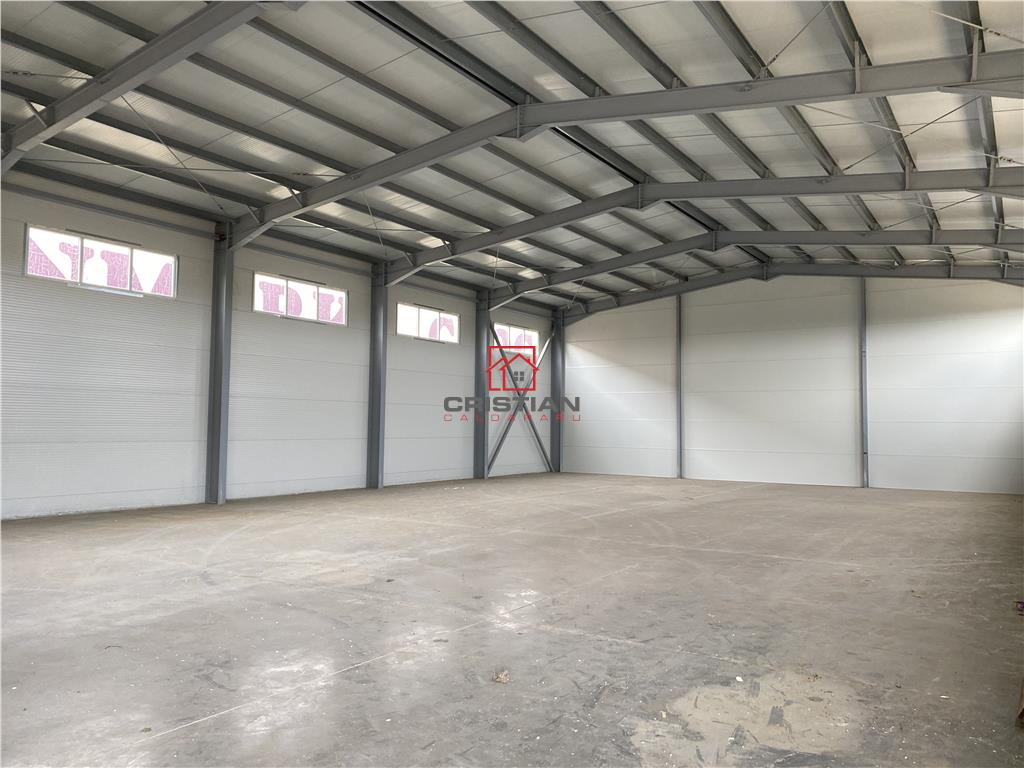 Vanzare depozit/hala/spatiu industrial Theodor Pallady - Drumul Intre Tarlale - Oxigenului - foto 9