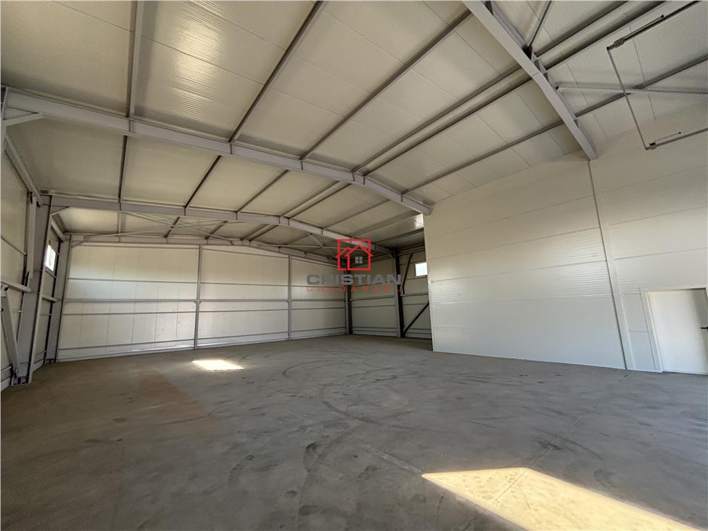 Vanzare depozit/hala/spatiu industrial Chitila - Centura - Rudeni - foto 4