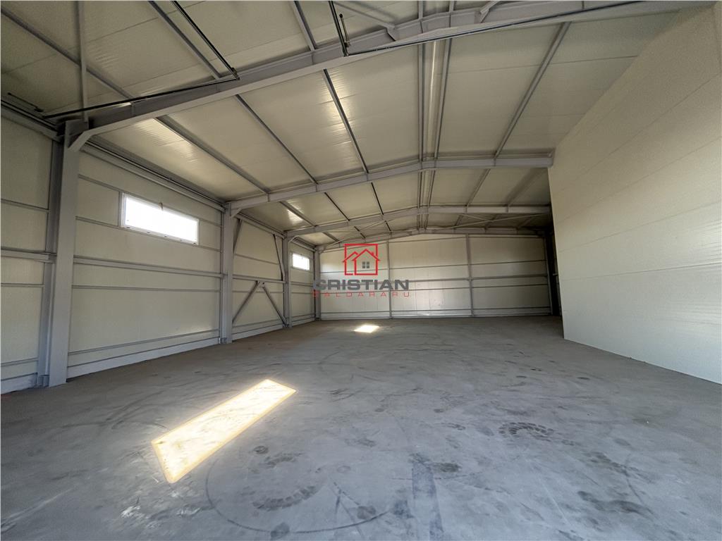 Vanzare depozit/hala/spatiu industrial Chitila - Centura - Rudeni - foto 5