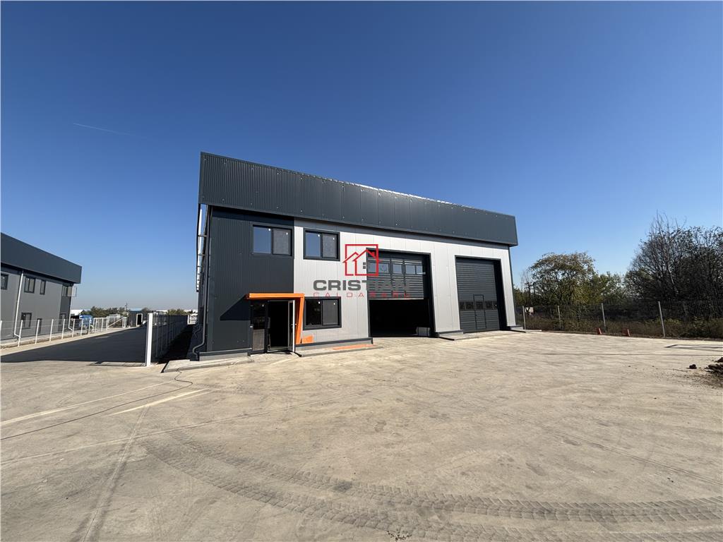 Vanzare depozit/hala/spatiu industrial Chitila - Centura - Rudeni - foto 6