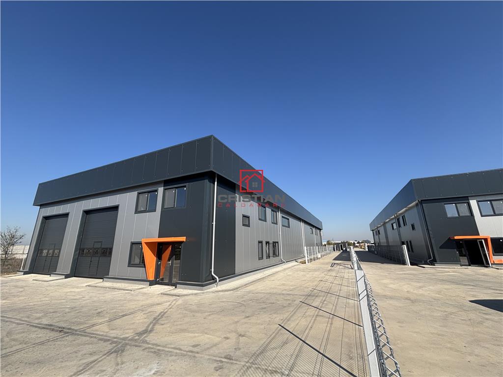 Vanzare depozit/hala/spatiu industrial Chitila - Centura - Rudeni - foto 2