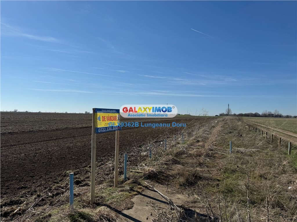 Teren intravilan 47.400 mp, Vama Veche, 200 m de Marea Neagra - foto 12