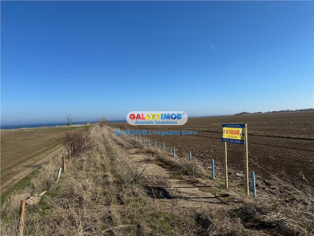 Teren intravilan 47.400 mp, Vama Veche, 200 m de Marea Neagra - foto 13