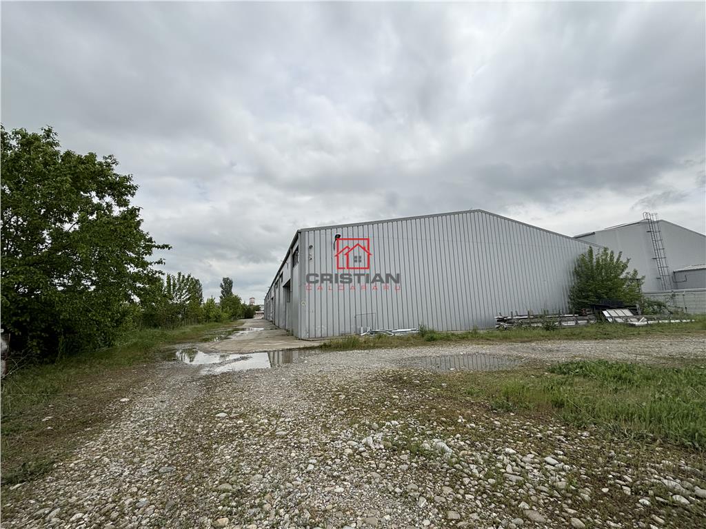 Vanzare depozit/hala/spatiu industrial/showroom/birouri Otopeni - Balotesti - DN1, ILFOV - foto 2