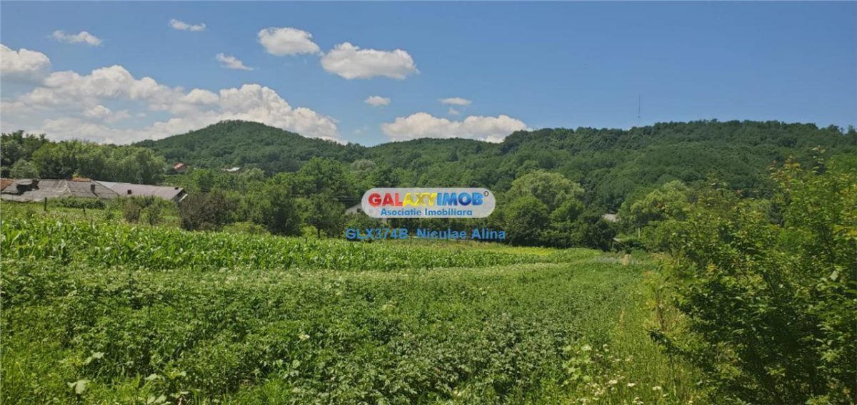 Teren intravilan comuna Bogati sat Birloi Jud. Arges - 