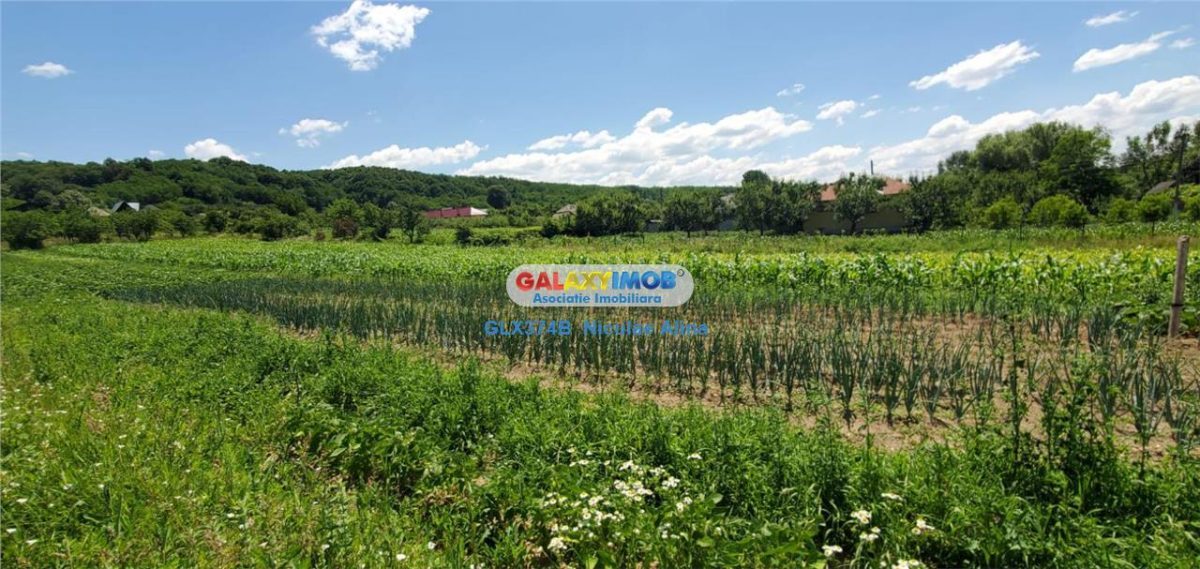 Teren intravilan comuna Bogati sat Birloi Jud. Arges - foto 3