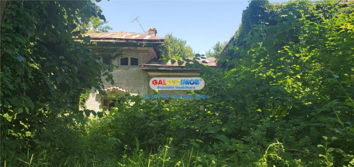 Teren intravilan comuna Bogati sat Birloi Jud. Arges - foto 4