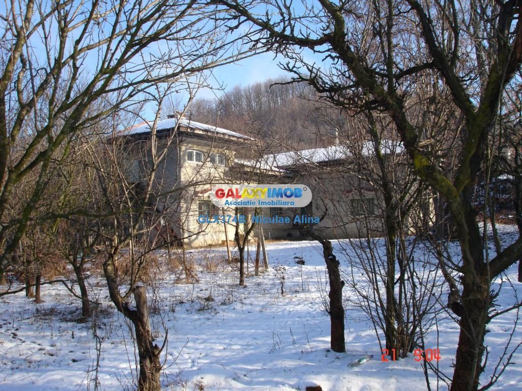 Teren intravilan comuna Bogati sat Birloi Jud. Arges - foto 5