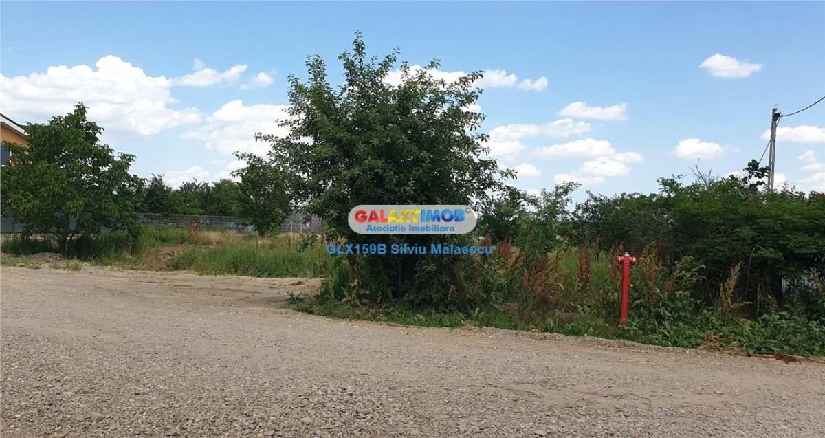 Balotesti - Teren 1.540 Mp str. Florilor - foto 11