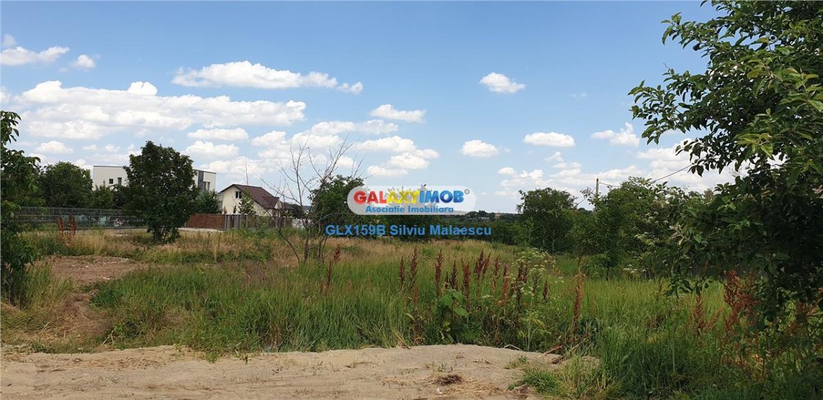 Balotesti - Teren 1.540 Mp str. Florilor - foto 12