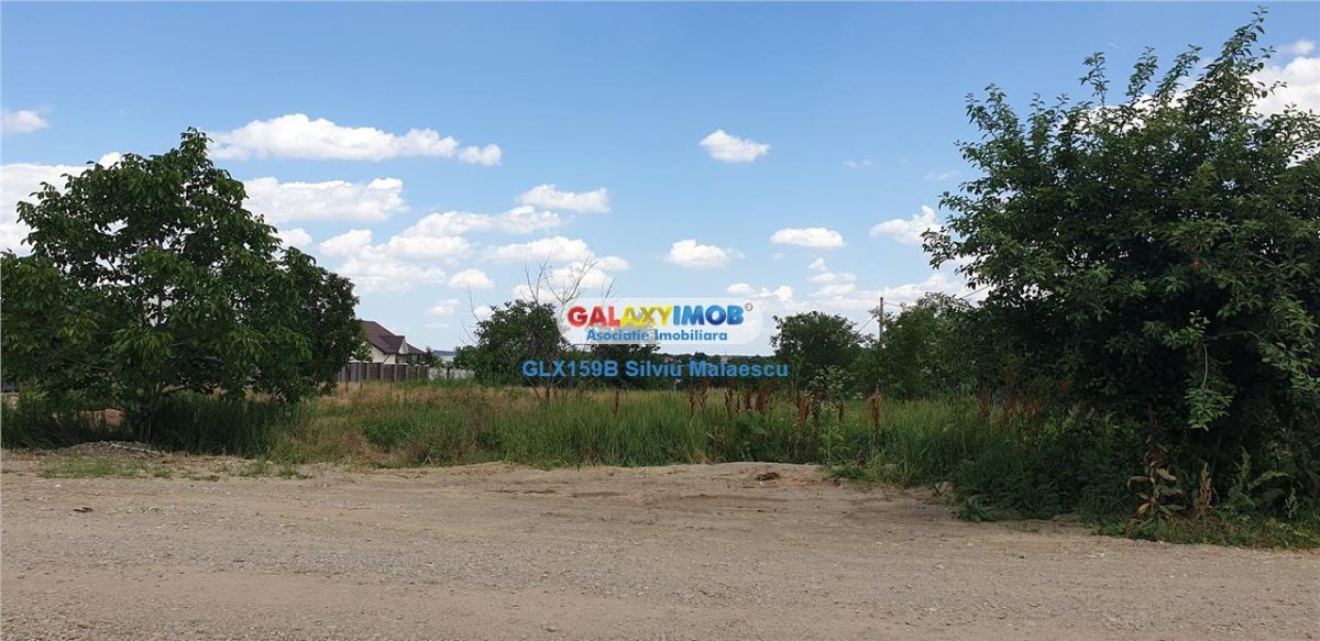 Balotesti - Teren 1.540 Mp str. Florilor - foto 10