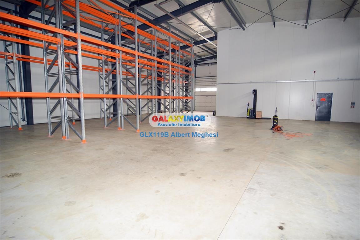 Inchiriere hala 572 mp Chiajna - foto 8