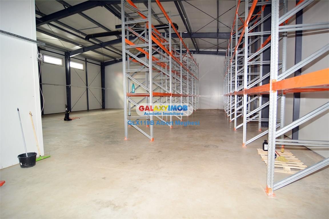 Inchiriere hala 572 mp Chiajna - foto 9