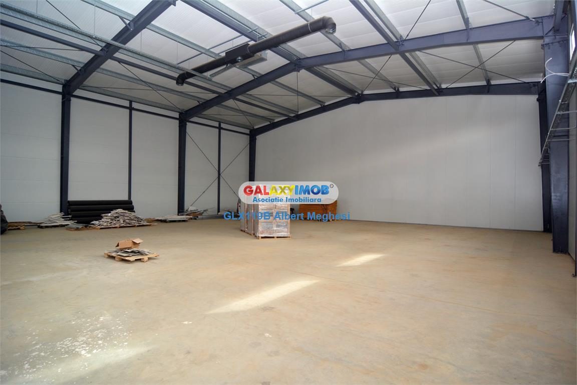 Inchiriere hala 572 mp Chiajna - foto 10