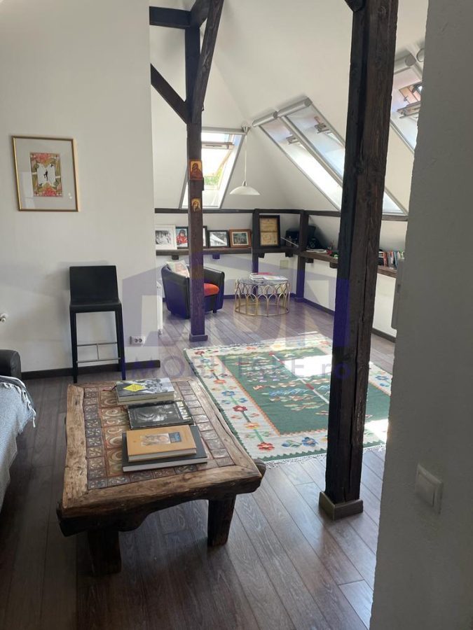 VILA COCHETA CU TERASA SI GARAJ - foto 11