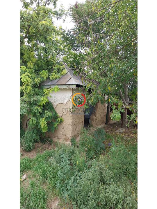 teren 1950mp cu casa batraneasca 45 mp - foto 4