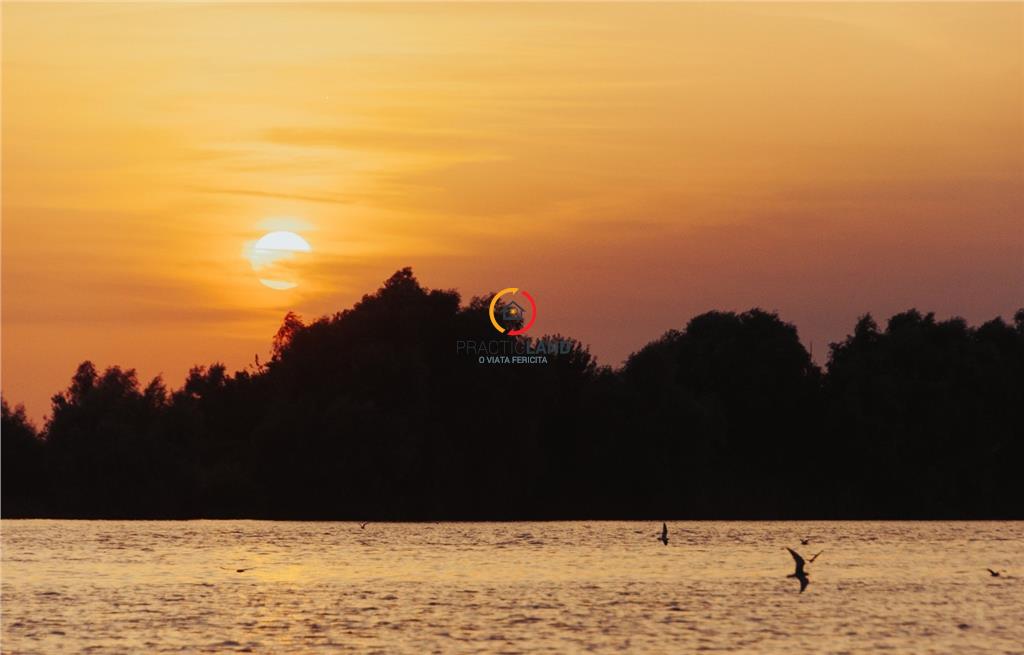 teren 1950mp cu casa batraneasca 45 mp - foto 5