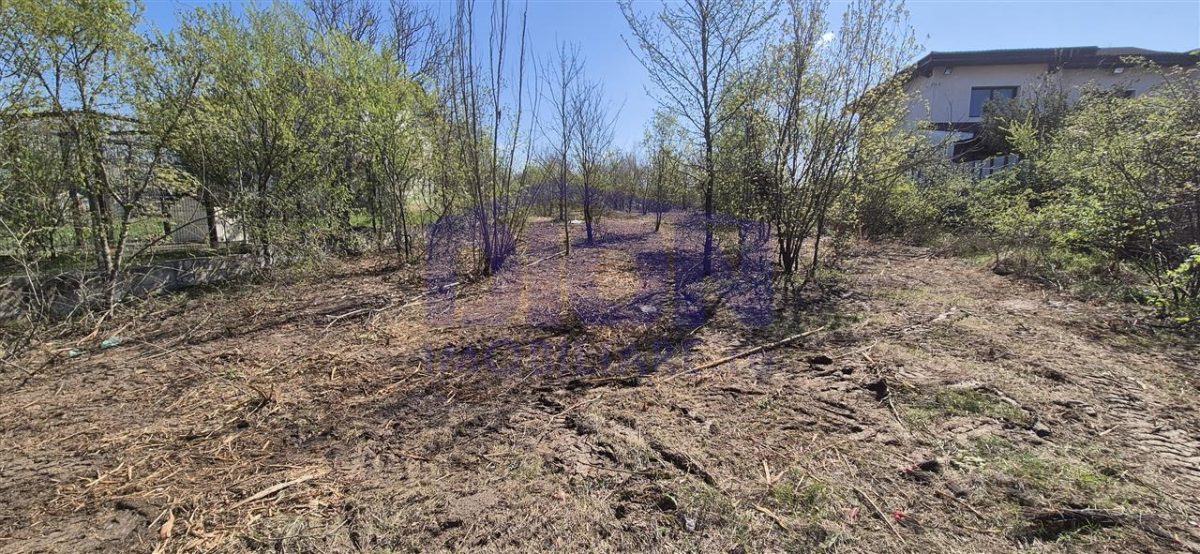 TEREN LANGA LAC 1430mp, sat. BRANESTi - foto 4