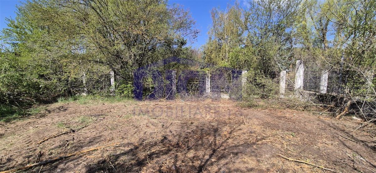 TEREN LANGA LAC 1430mp, sat. BRANESTi - foto 5