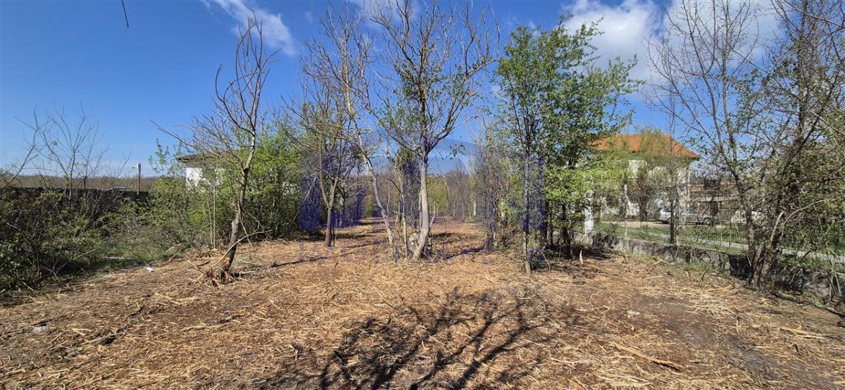 TEREN LANGA LAC 1430mp, sat. BRANESTi - foto 6