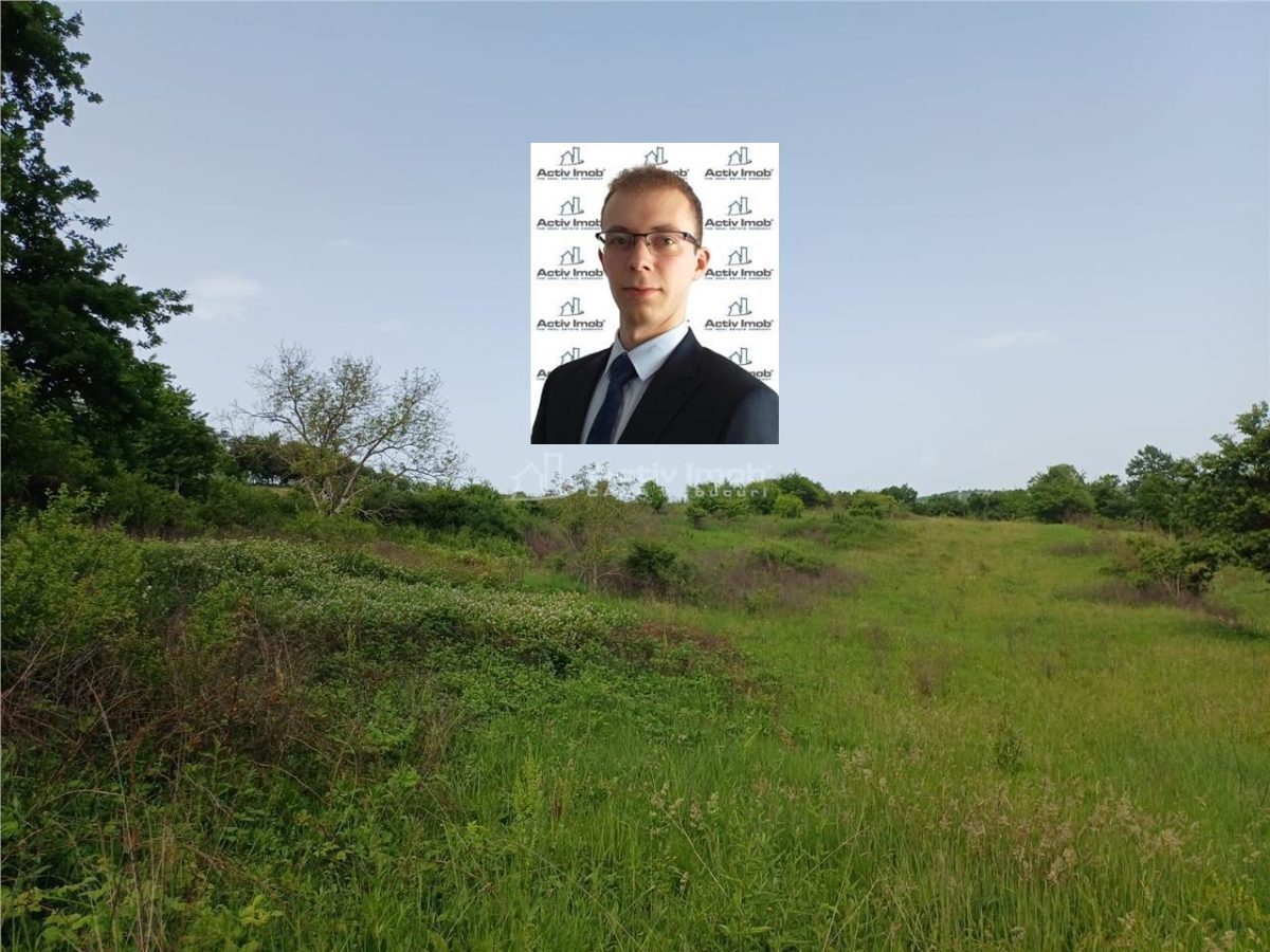 Resita, Teren Drept Intravilan, 11510 Mp., 4 Euro/Mp., Valea Terovei - 