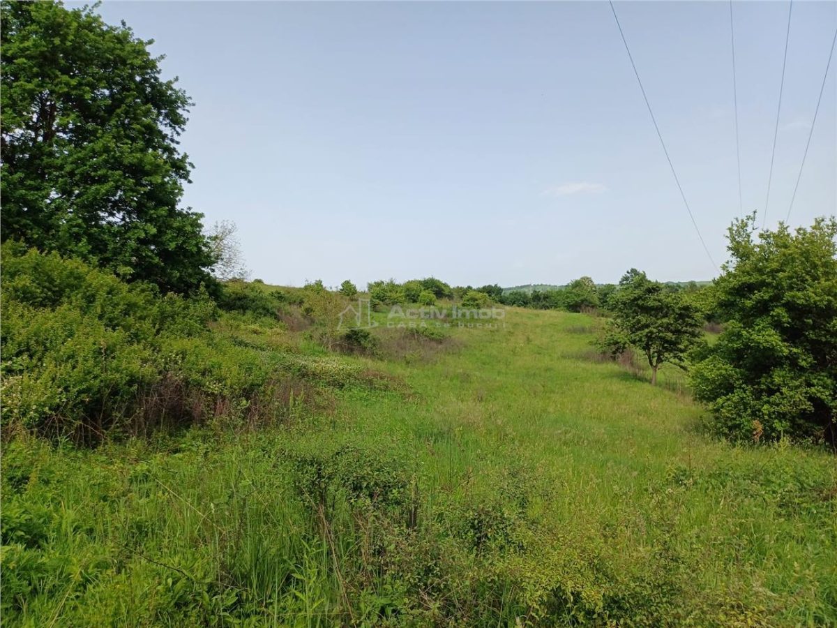 Resita, Teren Drept Intravilan, 11510 Mp., 4 Euro/Mp., Valea Terovei - foto 2