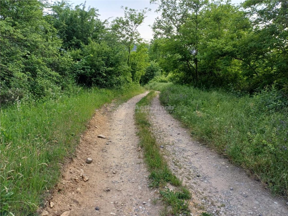 Resita, Teren Drept Intravilan, 11510 Mp., 4 Euro/Mp., Valea Terovei - foto 13