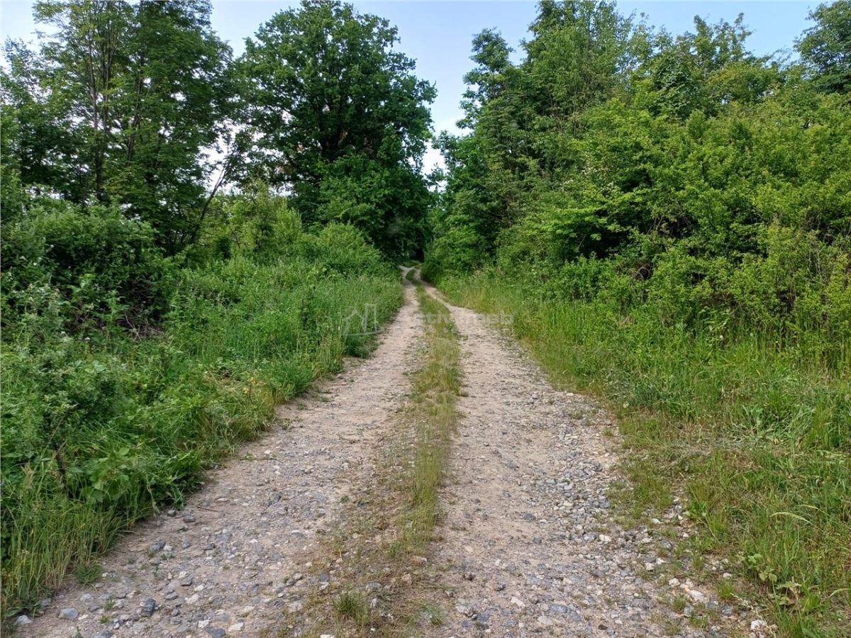 Resita, Teren Drept Intravilan, 11510 Mp., 4 Euro/Mp., Valea Terovei - foto 14