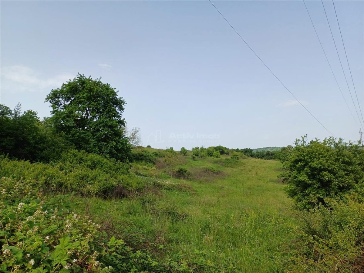 Resita, Teren Drept Intravilan, 11510 Mp., 4 Euro/Mp., Valea Terovei - foto 3