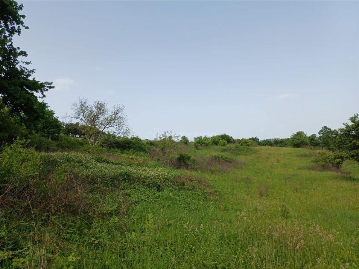 Resita, Teren Drept Intravilan, 11510 Mp., 4 Euro/Mp., Valea Terovei - foto 9