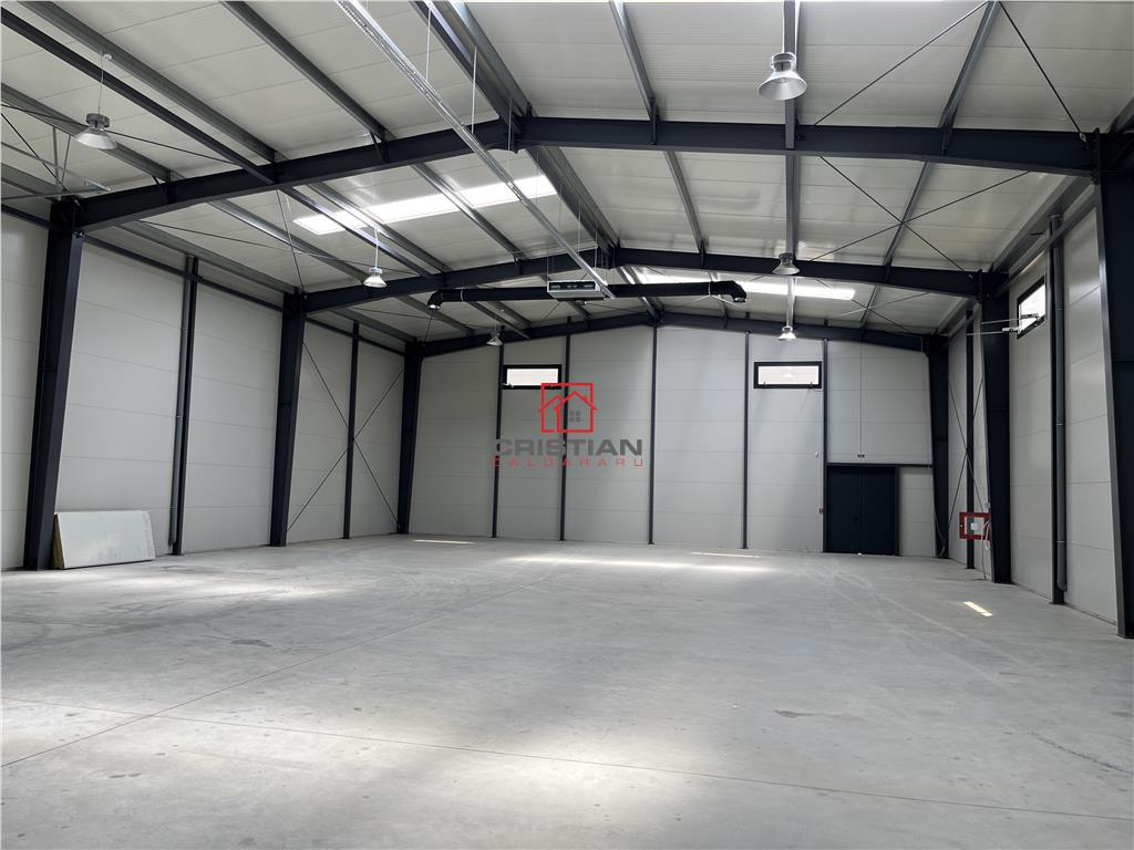 Vanzare depozit/hala/spatiu industrial Mogosoaia - Chitila, ILFOV - foto 6