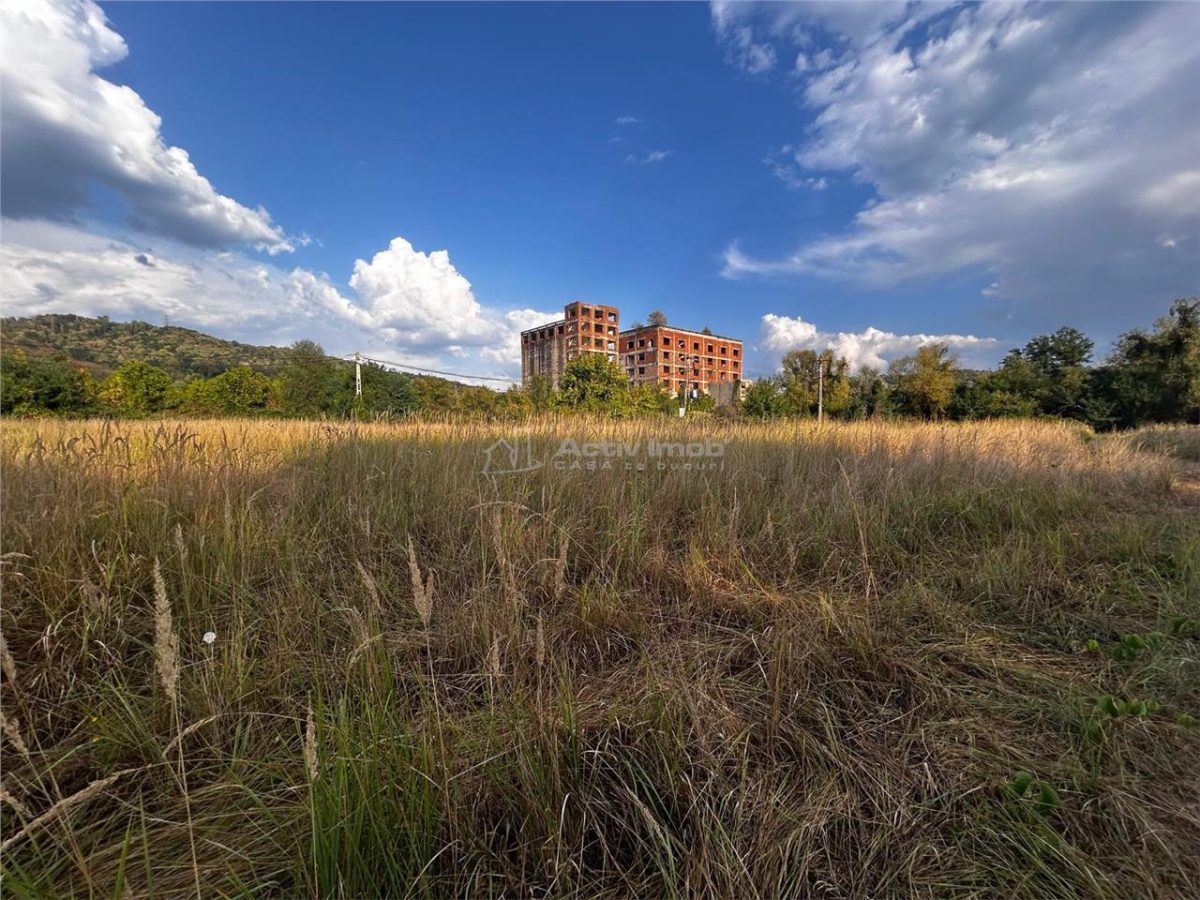 Bocsa Teren 9400 Mp Intravilan - foto 2