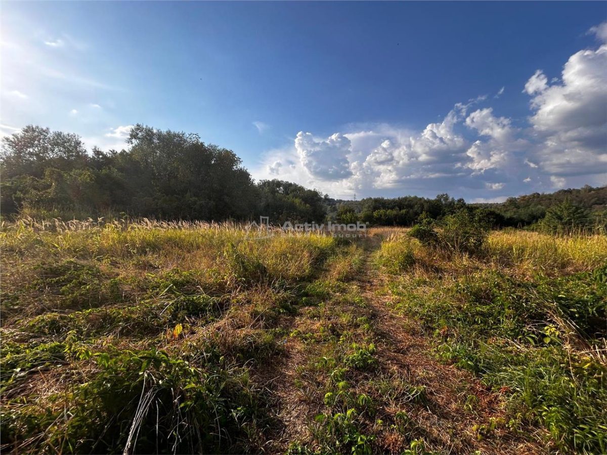 Bocsa Teren 9400 Mp Intravilan - foto 3