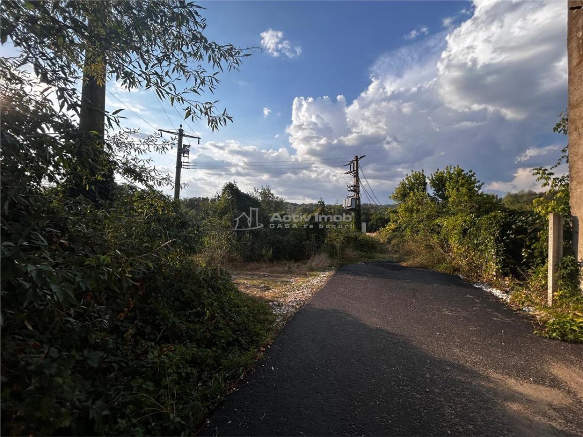 Bocsa Teren 9400 Mp Intravilan - foto 4