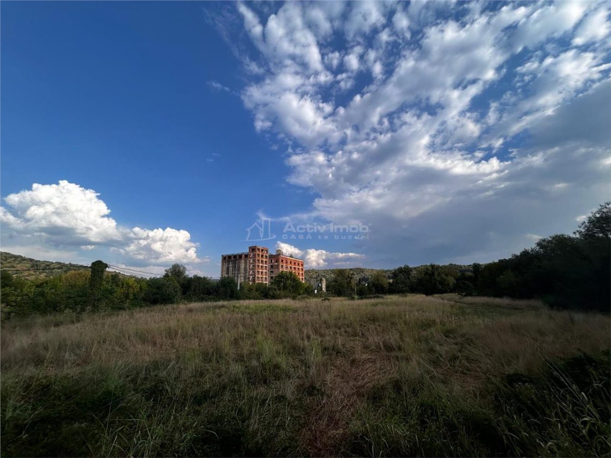 Bocsa Teren 9400 Mp Intravilan - foto 5