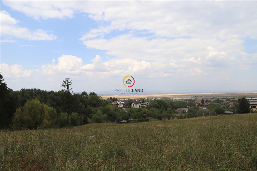 teren intravilan cu PUZ si PUD 2 loturi - 