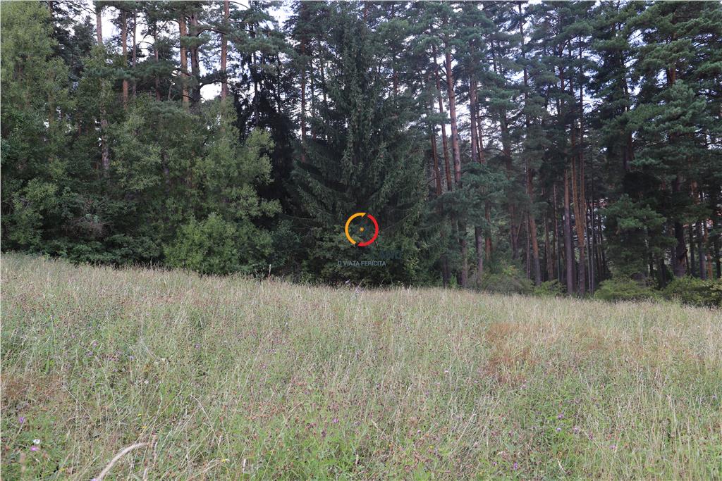 teren intravilan cu PUZ si PUD 2 loturi - foto 2