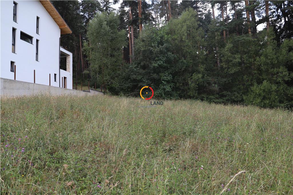 teren intravilan cu PUZ si PUD 2 loturi - foto 3