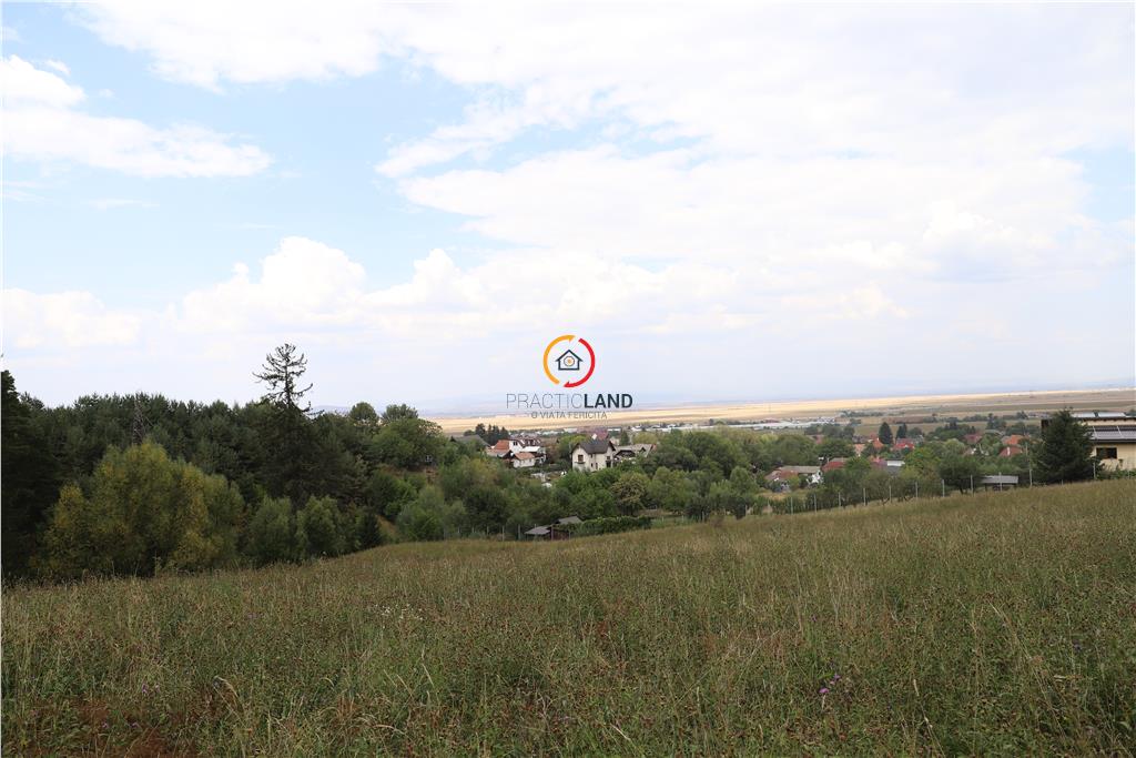 teren intravilan cu PUZ si PUD 2 loturi - foto 4