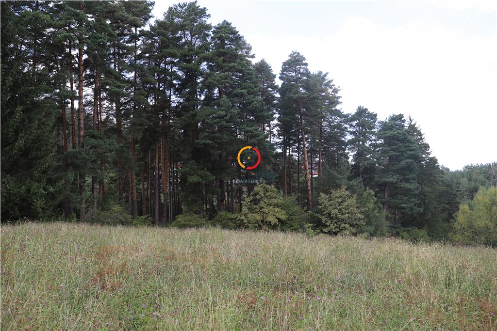 teren intravilan cu PUZ si PUD 2 loturi - foto 5